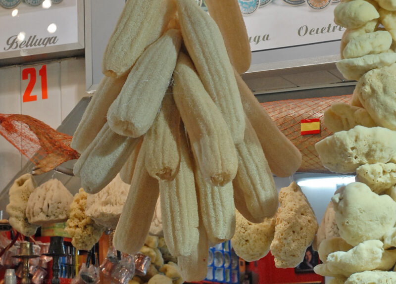 Esponja Natural Luffa — Baula